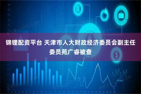 锦锂配资平台 天津市人大财政经济委员会副主任委员苑广睿被查
