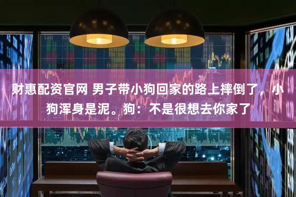 财惠配资官网 男子带小狗回家的路上摔倒了，小狗浑身是泥。狗：不是很想去你家了