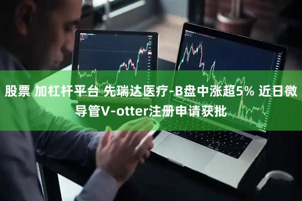 股票 加杠杆平台 先瑞达医疗-B盘中涨超5% 近日微导管V-otter注册申请获批