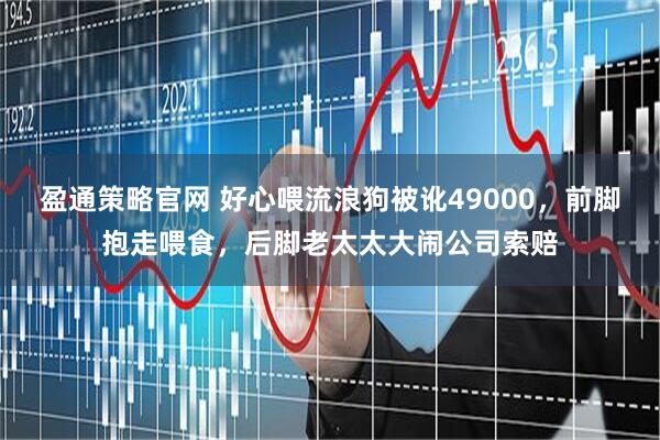 盈通策略官网 好心喂流浪狗被讹49000，前脚抱走喂食，后脚老太太大闹公司索赔