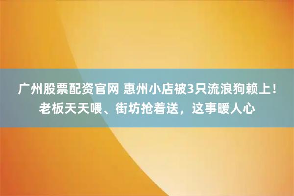广州股票配资官网 惠州小店被3只流浪狗赖上！老板天天喂、街坊抢着送，这事暖人心